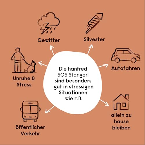 Beruhigungsmittel für Hunde – Hanfred SOS Stangerl mit Rindfleisch, Anti-Stress Snacks bei Angst & Nervosität – natürliche Hilfe bei Silvester, Autofahren – sofortwirkung & für Allergiker (3x65g)