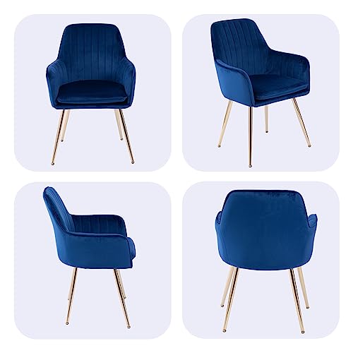 Image of Velvet Dining Chair Set of 2 - Modern Mid-Back Accent Chair with Gold Plating Legs - Upholstered Living Room Chair