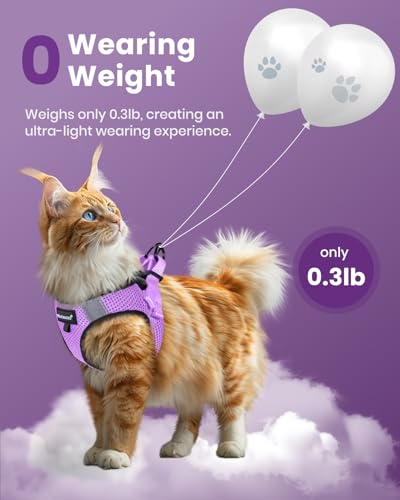 Image of FAYOGOO Cat Harness, Cat Leash and Harness Set for Walking Escape Proof, Harness for Small Cats /Small Dogs, Large Kitten /Puppy Harness and Leash, Harness for Cats,XXL(Modern Violet, Medium) | Step-in mesh vest, velcro + buckle + D-ring; reflective strips; includes matching leash; 5 sizes