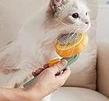 Premium Haustier Hundebürste Katzenbürste, Haar Entferner Haustierbürste für Langhaar und Kurzhaar, Sauberes Haustierhaar von der Bürste mit Einem Knopf