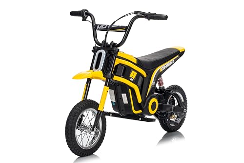 Aoshaweyz Kids Electric Dirt Bike with LED Safety Lights, 15 MPH Max, 3-Speed Parent Control, 24V...
