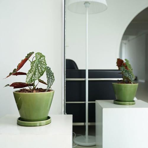 Pots de fleurs décoratifs ronds pour éviter le dessèchement - 4
