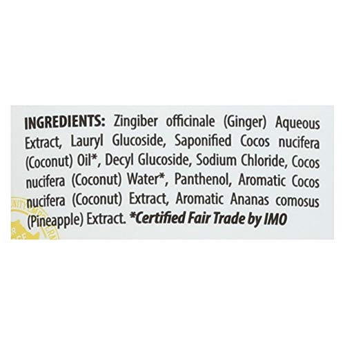 Alaffia - Everyday Coconut Hydrating Shampoo Coconut Pineapple - 8 Fl. Oz. #TOP1