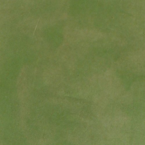 Concrete Acid StainSemi-Transparent Professional Grade Cement Stain (Olive Mist, 1 Gallon)