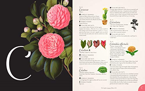 The Complete Language of Flowers: A Definitive and Illustrated History (Volume 3) (Complete Illustrated Encyclopedia, 3) - Image 3