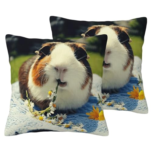 Coussin cochon d'inde lavable pour chambre d'enfant propre - 2