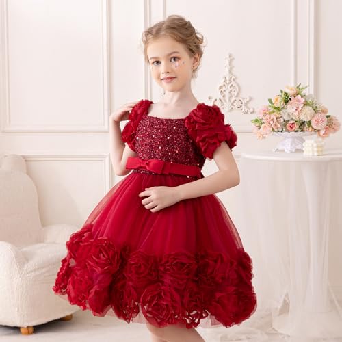 Little Girl Dress with 3D Floral Embroidery Flower Girl Dresses for Easter, Wedding, Birthday Or Graduation2