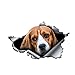 YLZH Autocollant de voiture Personnalité Autocollant de voiture Beagle 3D Vinyle Vinyl Imperméable Fenêtre de voiture Voyage Décoratif 1 3cm x 9cm Logo sticker (Color Name : Beige)