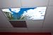 Palm Tree Skypanels - Replacement Fluorescent Light Diffuser