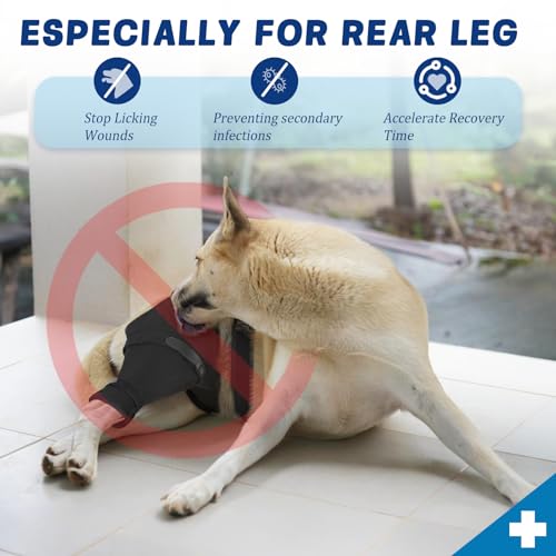 Image of Dog Sleeve for Rear Legs to Stop Licking, Upgraded Surgical Recovery Sleeve for Hind Back Leg Wound,TPLO, ACL Surgery, Light Comfortable Cone Alternative(XL,Right)