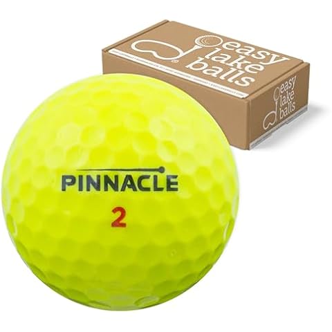 Balles de Golf Easy Lakeballs Cover