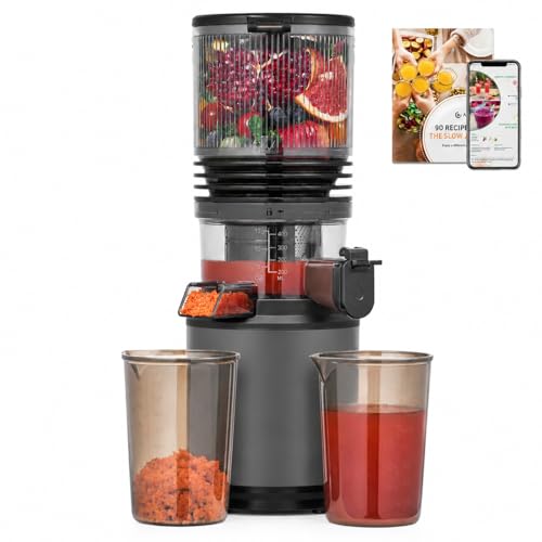 Cold Press Juicer Machine with 6" Extra-Wide Feed Chute,Triple Stainless Steel Filter,Quiet DC Motor,Easy to Clean,Slow Masticating Juicer High Juice Yield, Grey