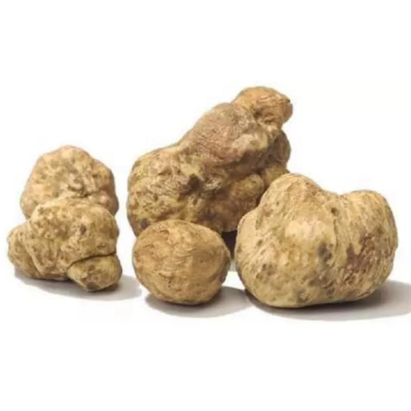 Wonderland herbs UNADULTERATED Freeze-Drying Wild White Truffle, Tartufo Bianco/Tuber Magnatum Pico, 1.1 LB.