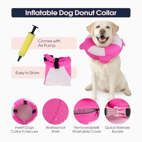 Collier de convalescence gonflable grand chien - Donut de protection réglable