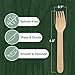 Perfect Stix Green Fork 158-250ct Disposable Wooden Forks (Pack of 250), Plain Forks 4