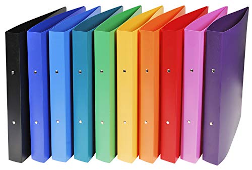 Classeur 2 anneaux 30 mm A4 maxi opaque : protégez et triez vos dossiers volumineux