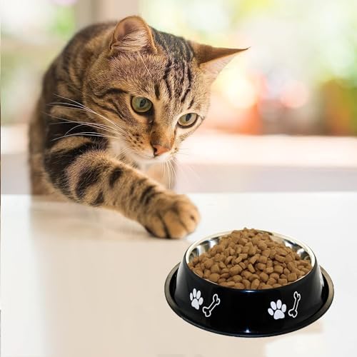 Image of Stainless Steel Paw Bone Printed Bowl for Dogs, Cats & Any Pets - 150ml - 2600ml Non-Skid Rubber Bottom Food /Water Bowl I Non-Toxic & 100% Safe for Pets (150ml)