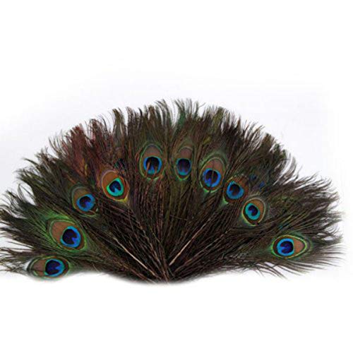 IMIKEYA - 100 plumas de pavo real, pájaros, animales artesanales, plumas con gran ojo de pavo real...