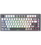 Amazon | 【国内正規品PHILIPS SPK8618】ゲーミングメカニカル