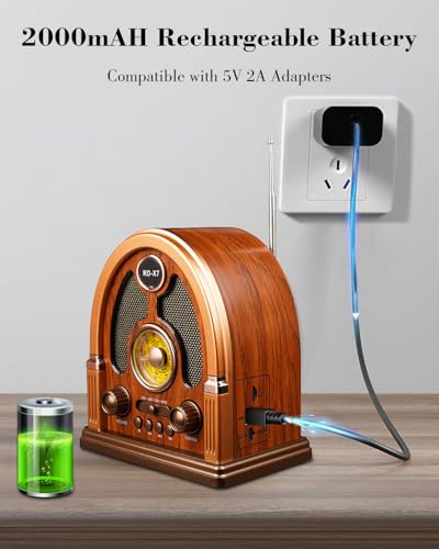 image for Qneye Vintage Portable AM/FM/SW Radio with Bluetooth & TWS Stereo, USB