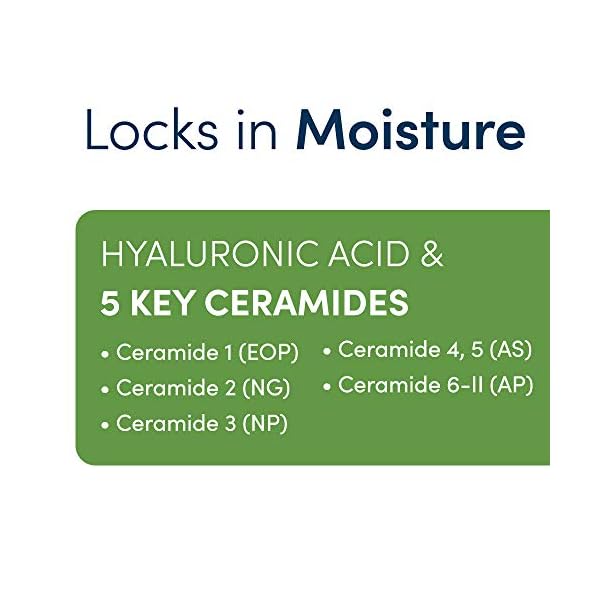 Vanicream Daily Facial Moisturizer With Ceramides and Hyaluronic Acid - Formulated Without Common Irritants for Those with Sensitive Skin, 3 fl oz (Pack of 1)