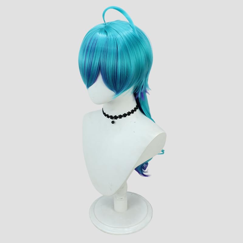 Amazon.co.jp: ロックは淑女の嗜みでして コスプレ衣装 ウィッグ