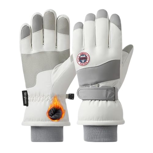 [YUMISS] XL[O[u h fB[XyOwhhhfށE~MۉNтŗ뉺20gz ʋC  ~ ^b`plΉ hH Xm[{[h oCN oR ނ AEghA (^CvA-O[, Fre