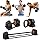 Lifepro Adjustable Dumbbells Set – Quick Adjustment, Anti Slip Handle – Space Saving & Strength Training Weights for Home Gym