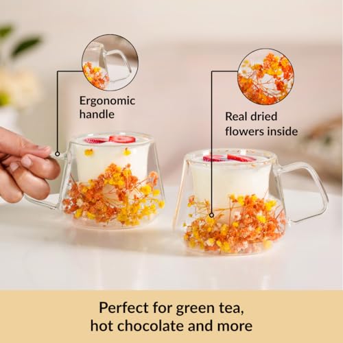 Image of Nestasia Double Wall Glass Mug with Dried Flowers Set of 2 (180ml Each) - Transparent Borosilicate Floral Glass Tea Cups | Lightweight & Durable Coffee Mugs - Perfect for Gifting (Yellow & Orange)