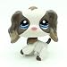 Action Figures Pet #2254 White Grey Cocker Spaniel Dog Blue Eyes Toys