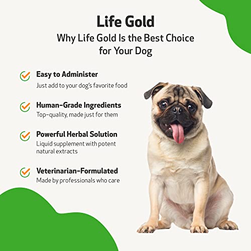 Pet Wellbeing - Life Gold - Dog Health Support - Natural, Herbal Supplement That Helps Maintain The Health Of Your Canine - 2 Oz (59 Ml) #TOP3