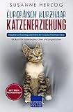 katzenbabys zu verkaufen  Europäisch Kurzhaar Katzenerziehung - Ratgeber zur Erziehung einer Katze der Europäisch Kurzhaar Rasse: Ein Buch für Katzenbabys, Kitten und junge Katzen