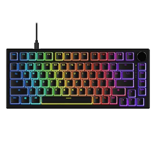 新品 (限定) LAM-ANG PRO メカニカルキーボード RAKK LAM-ANG