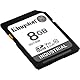 Kingston Industrial 8 GB SDHC Speicherkarte, schwarz, UHS-I U3, Class 10, V30