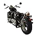 M Massimo Motor Motorcycle, Massimo Motorcycle, Timeless Taste V-Twin Engine 249cc Top Speed 70+ Handsewn Leather Seats to Chrome Electroplated Parts, 5-Speed street legal motorcycle