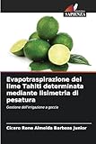 Edizioni Sapienza