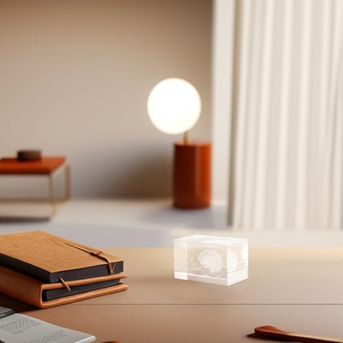 Cerebro humano en cubo de cristal 3D Lurrose, el regalo ideal para estudiantes de medicina 6