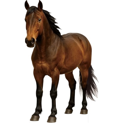 Image of Horse 3FT Life Size Cardboard Cutout Standup, 1 PC, for Events | Animal Standup for Birthday Parties, Party Decorations, Photo Booth Props, 1 PC Life Size Horse Cardboard Cutout