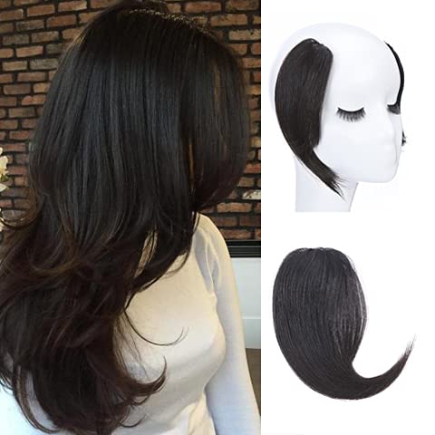 BenehairSide Bangs Clip in Bangs 100% Real Human Hair Curtain Bangs 10 inch Natural Black Remy French Bang Soft Thick Hair 15g with Invisible Clips for Women #1B