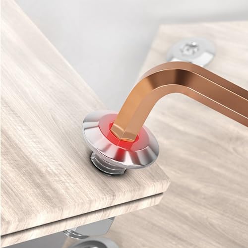 WZHUIDA 20 Stück M8 x 30 mm Schrauben, Edelstahl Innensechskant Flachkopfschrauben, Vollgewinde Möbelverbinderschrauben mit Schraubenschlüssel