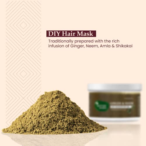 Image of Mother Sparsh Ginger & Neem Anti Dandruff Hair Lep | Helps Control Dandruff & Itchy Scalp | Hair Mask Powder for Men & Women |100 gm