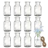 Woobroo 12er Set Kleine Vasen für Tischdeko mit Juteschnur | 125 ml Mini Glasvasen für Blumen, Hochzeiten, Geburtstage & Gartenpartys, geringe Größe