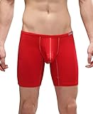 Winday Men's Sexy Briefs Thong G-string Elastic Smooth Bikini Airplane Underwear N4011 L/US M Red