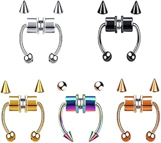 5Pcs Magnetic Stainless Steel Nose Ring, Horseshoe Non Piercing Jewelry Fake Nose Ring Magnetic Septum Nose Rings Clip On Nose Hoop Rings Nose Rings Hoop for Women Men, With Replace Spikes