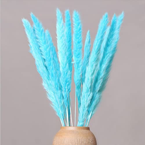 Natural Hay 30 Stems Blue Pampas Grass, 17” Pampas Grass Decor, Dried Pampas Grass Plants Boho Decor, Home Decor #TOP16