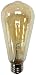 LED2020 LED Vintage Filament Bulb, ST21 Edison Style, 4W to Replace 40W Incandescent Bulb, Super Warm White (2400K), 120VAC, E26 Medium Base, Not Dimmable