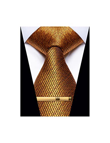 YourTies Men's Neckties Striped Tie and Plaid Neckties for Men Woven Silk Tie Gold Tie Clip Set, C Gold, One size