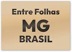 Imã de Geladeira Entre Folhas MG MDF 8cm x 5cm para Lembrar