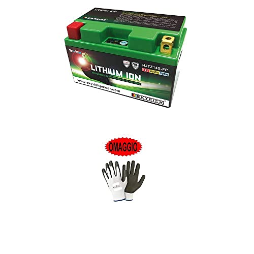 Compatible avec Yamaha VMX V-Max (RP211) 1700 2009-2016 Batterie AU Lithium SPÉCIFIQUE Batteries SKYRICH pour Moto Scooter Rechargeable 12V 60WH 300A Lithium...