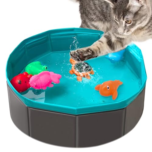 Cat Pool with Water Toys